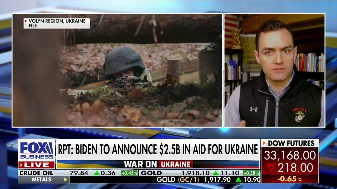 House Armed Services Committee member Rep. Mike Gallagher discusses GOP support for Ukraine and whether he's in favor of sending heavy tanks and weapons to help defeat Russia on 'Varney & Co.'