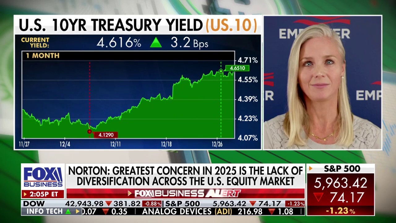  Investment strategist says there is ‘a lot of pressure’ in markets as 2025 approaches