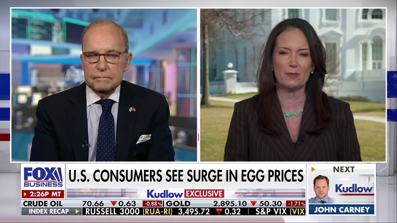 USDA Secretary Brooke Rollins discusses how she is preparing to reform the agency and how she and Robert F. Kennedy Jr. will tackle the egg crisis on ‘Kudlow.’