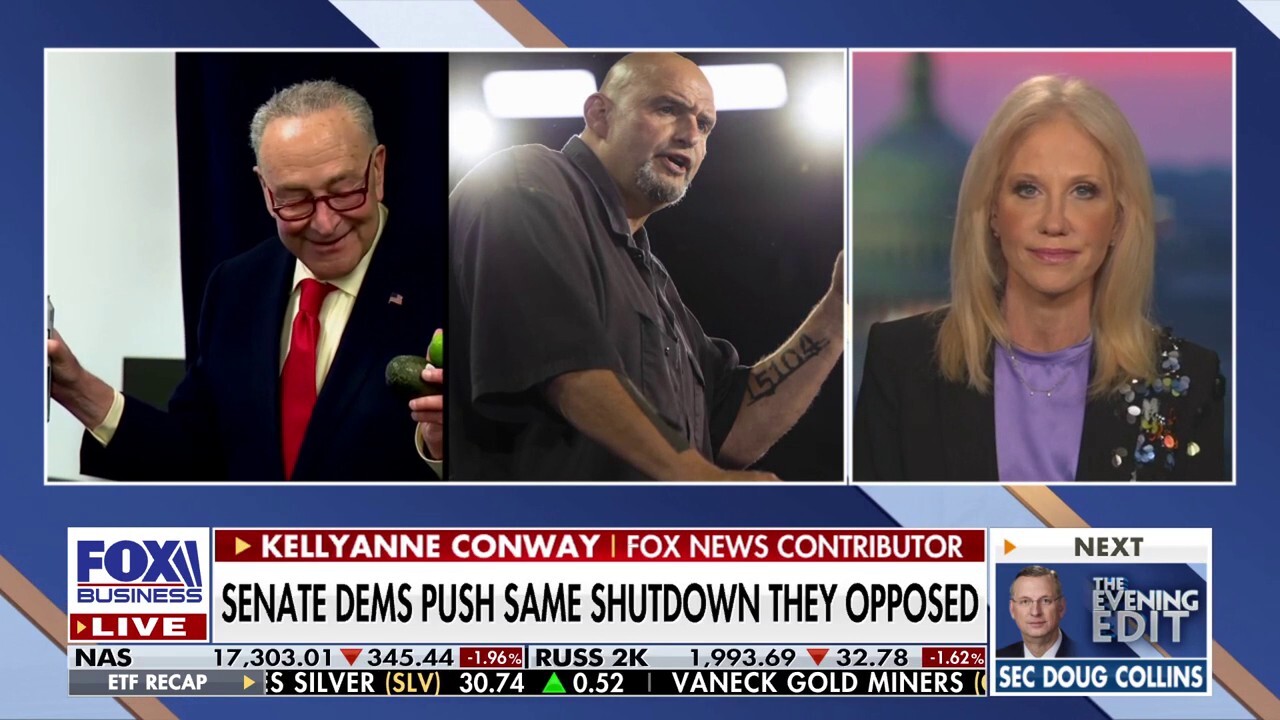 Americans will blame Democrats if there is a government shutdown, Kellyanne Conway argues