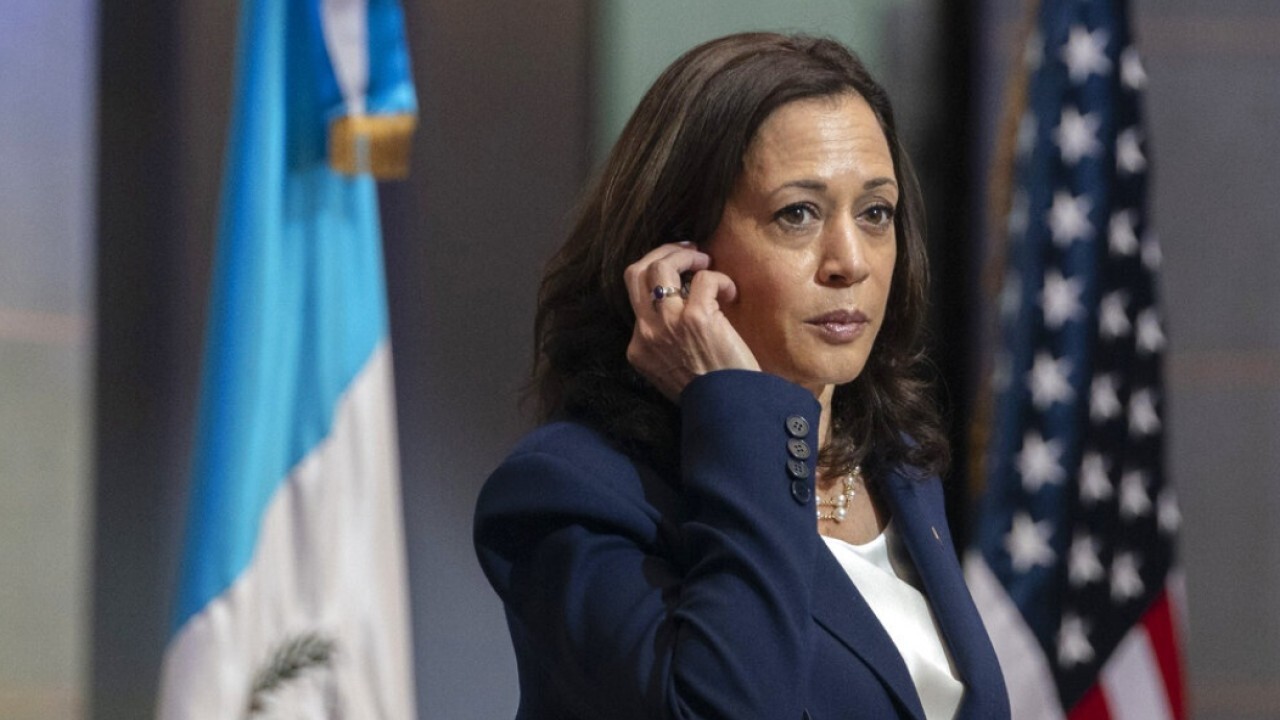 VP Harris accomplished 'absolutely nothing' during border trip: Judd