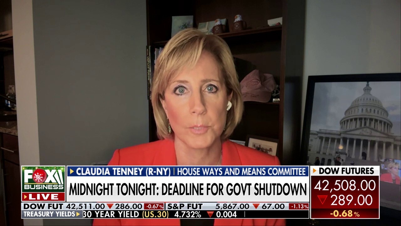 Rep. Claudia Tenney, R-N.Y., breaks down Republican lawmakers’ ongoing hunt for a new House speaker as a potential government shutdown looms.