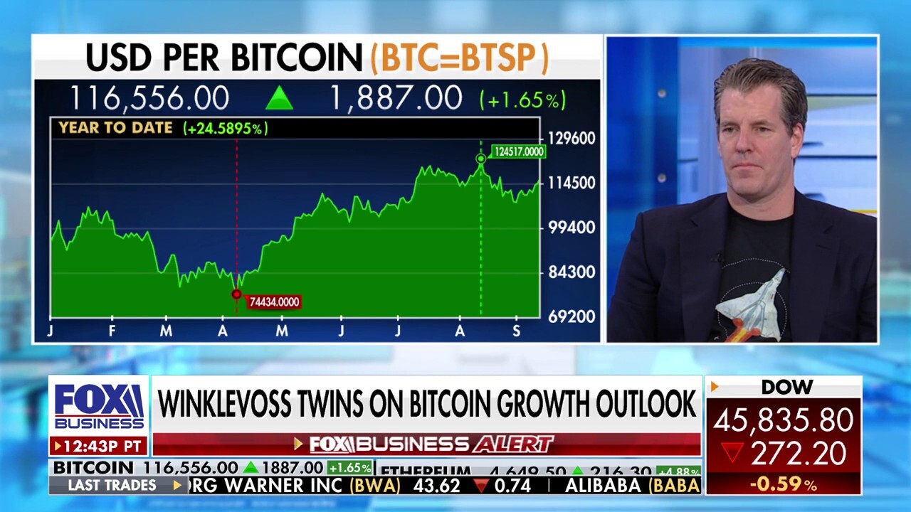 Gemini co-founders Tyler and Cameron Winklevoss discuss cryptocurrency’s growth under the Trump administration, their partnership with Mastercard for a Bitcoin credit card and more on ‘The Claman Countdown.’