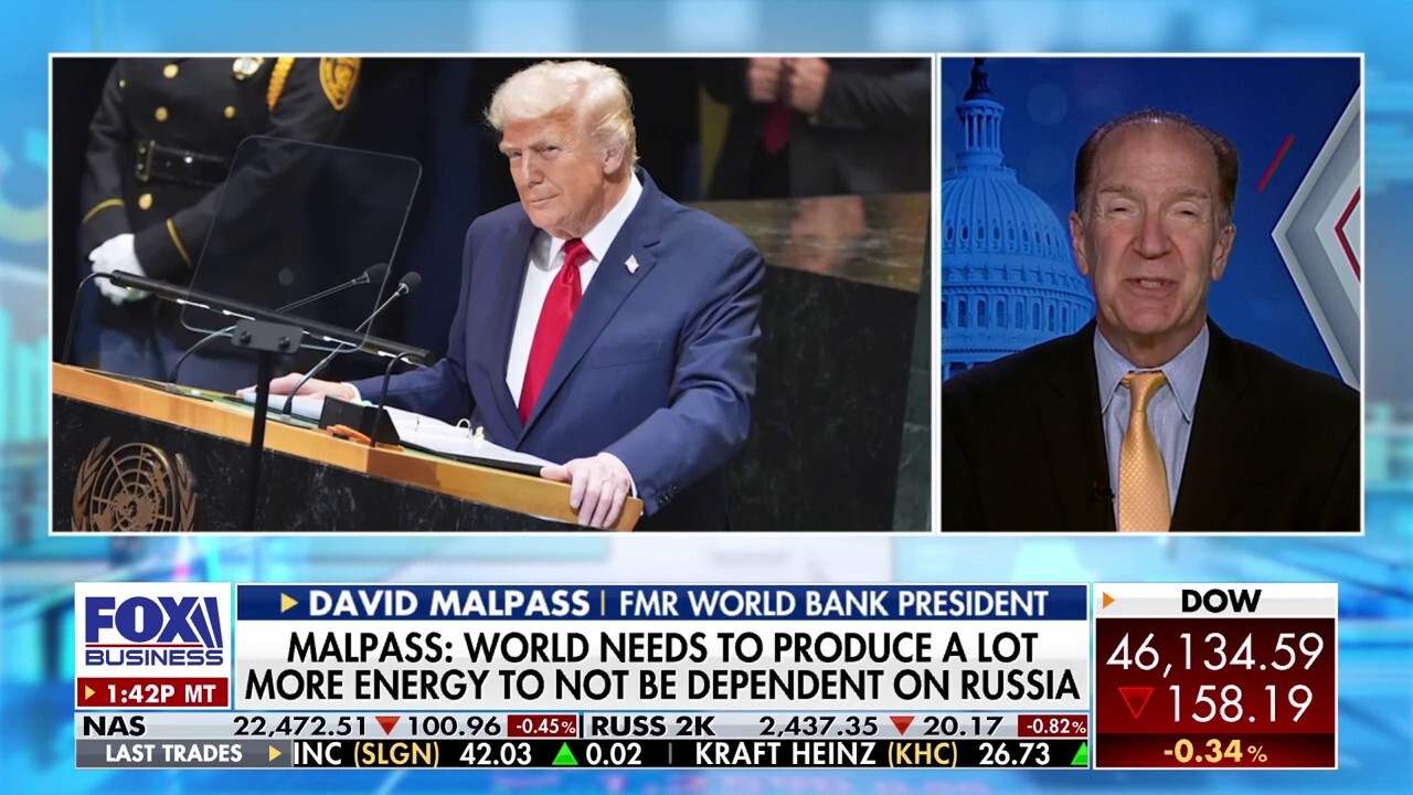 World must produce more energy to be less dependent on Russia: David Malpass