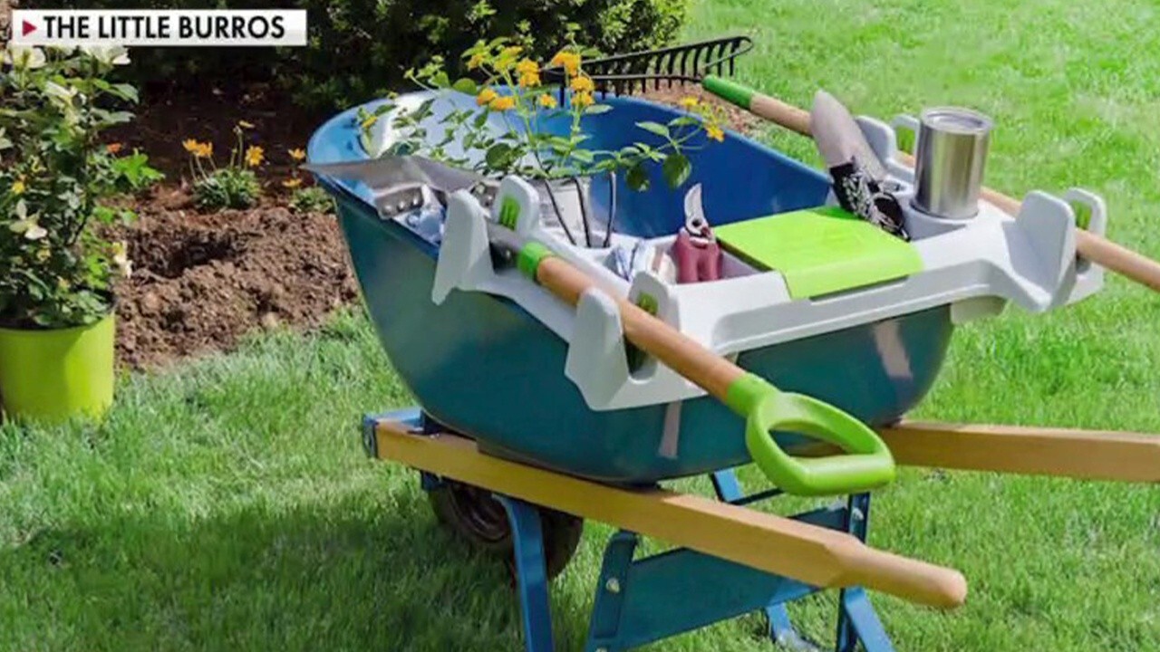 Gardening company sees 500% increase in online sales amid COVID lockdowns 