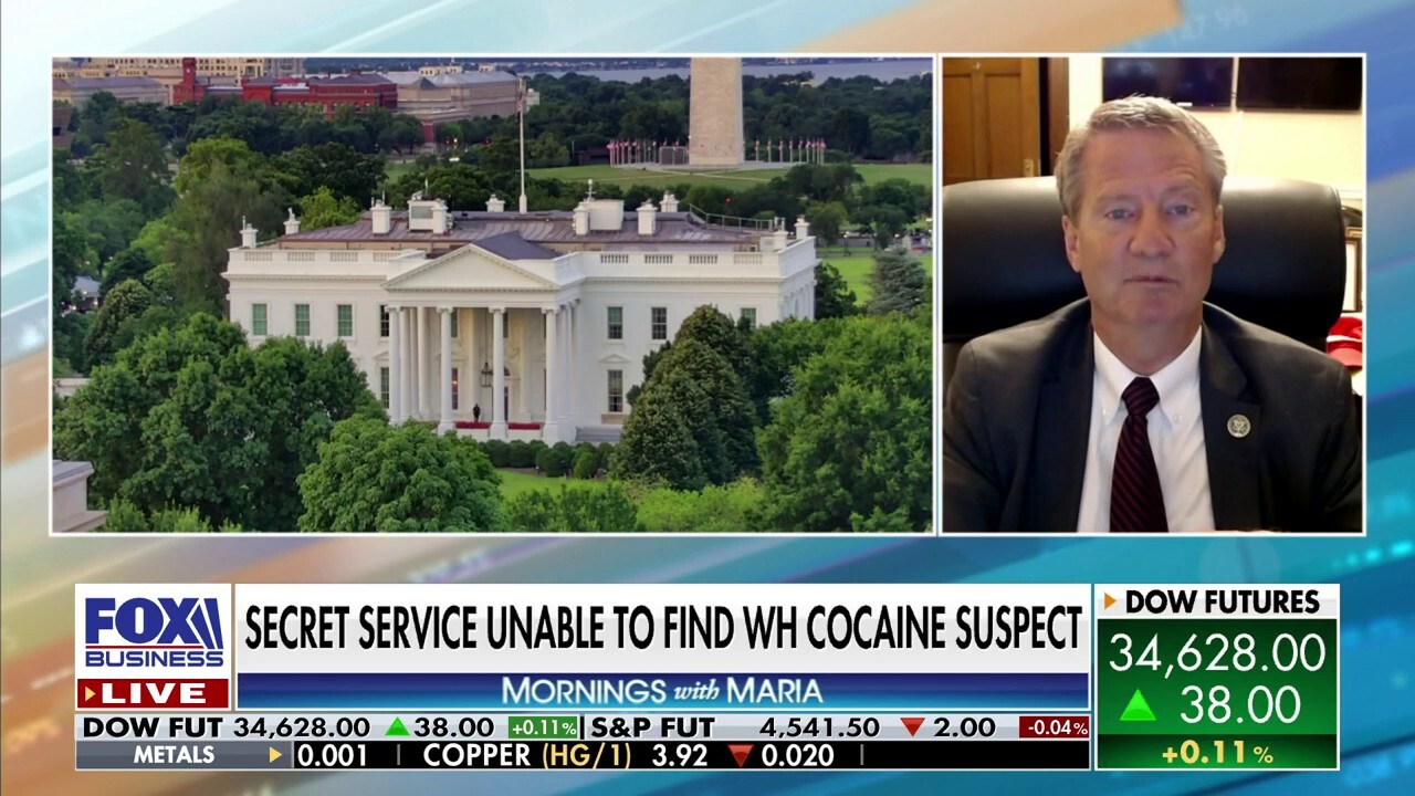 Rep. Tim Burchett on the White House cocaine probe: 'The whole thing just stinks'