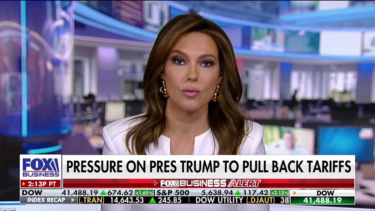 Democrats have ‘lost their power beyond Washington, DC,’ says Lisa Boothe