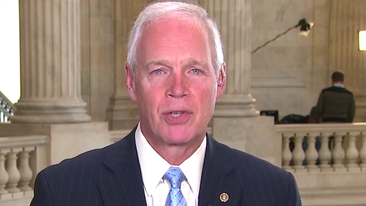 Sen. Johnson: Oftentimes gridlock is the best solution in DC