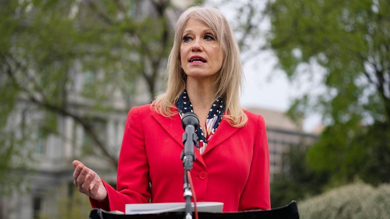 Trump is the best person to 'rejuice' the economy: Kellyanne Conway