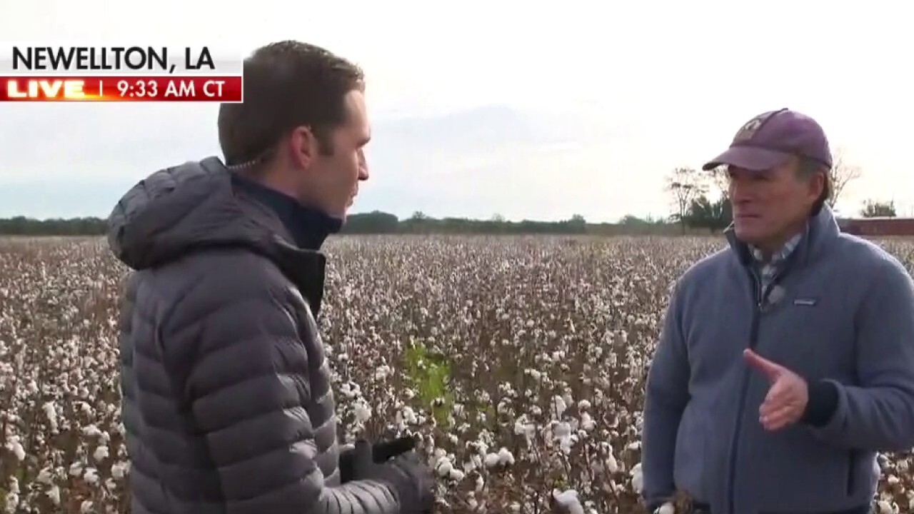 Cotton prices hit 10-year high