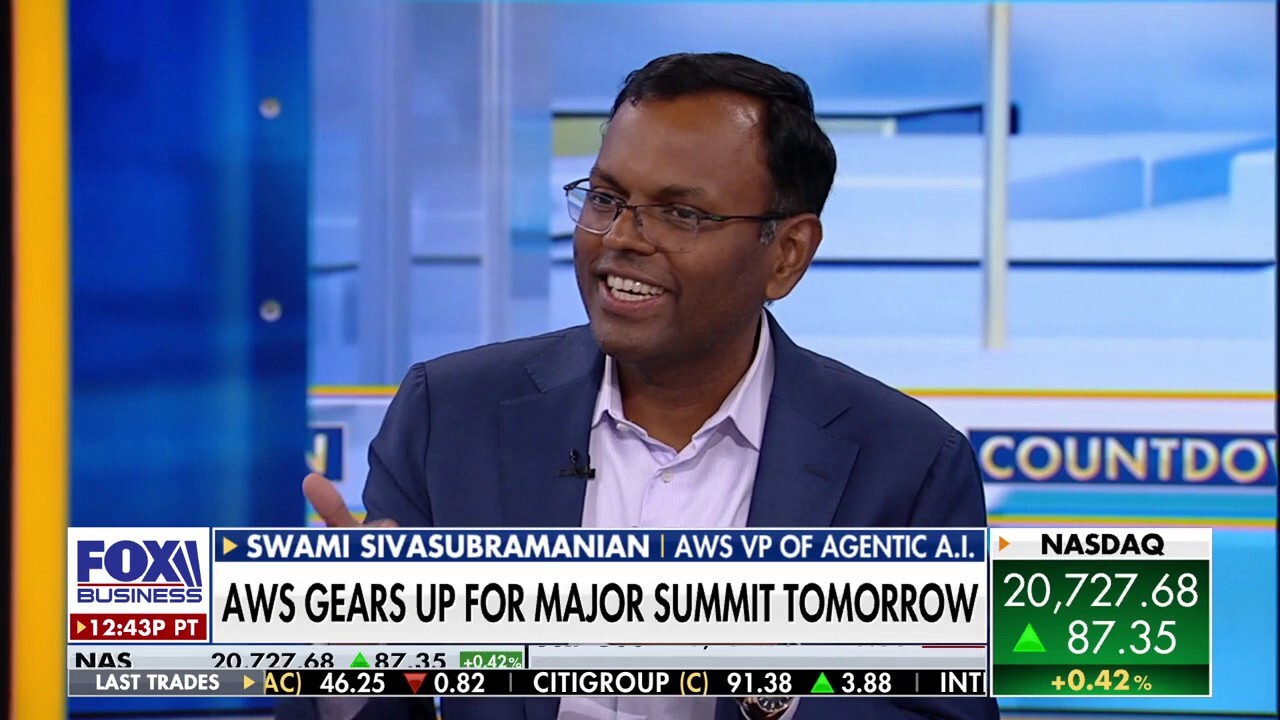 AI agents will transform the way we work, Swami Sivasubramanian explains