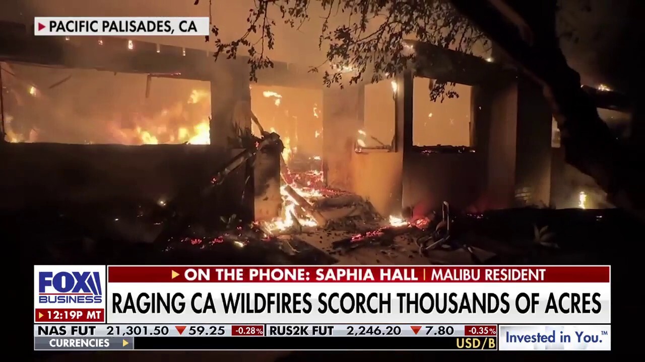 Los Angeles wildfires expose insurance crisis in California 