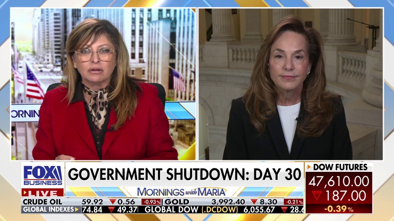 Shutdown hits day 30 impacting upwards of 42 million Americans, warns GOP lawmaker