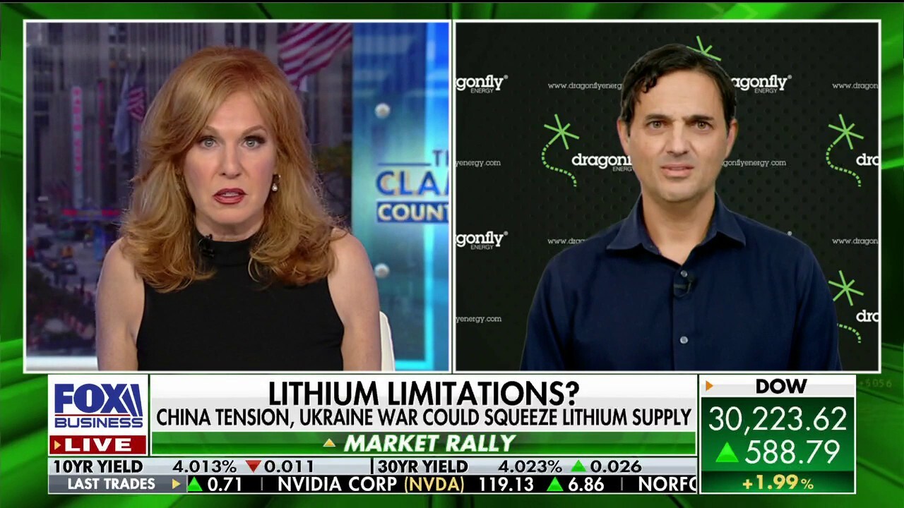 It's 'important' to increase lithium infrastructure in the US: Denis Phares