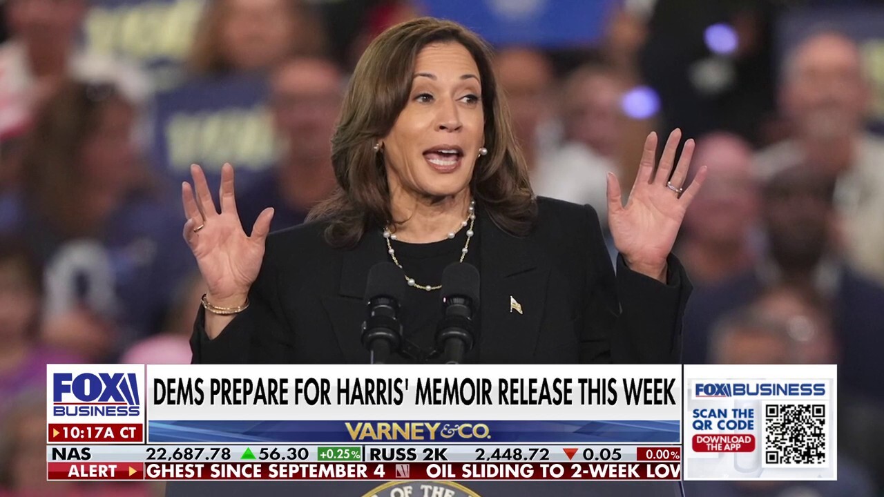 Kamala Harris doesn't have a future in Democratic Party or any political party, strategist says