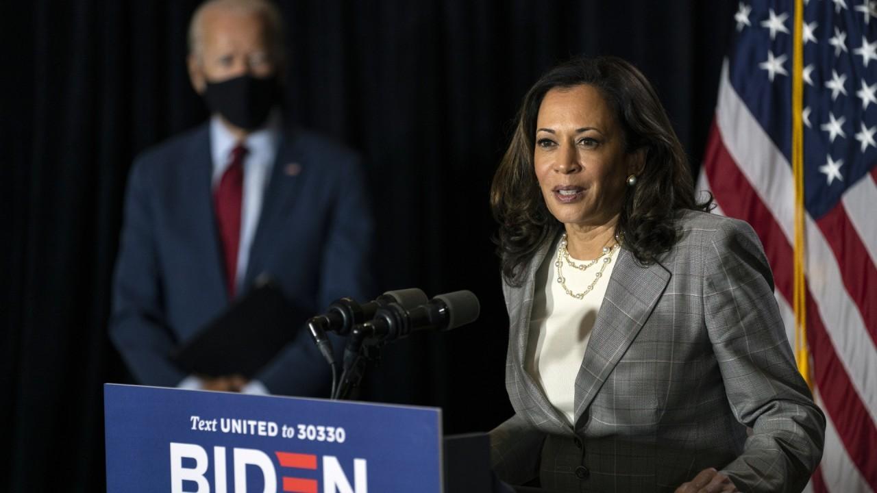 Wall Street Democratic fundraisers reassuring banking community about Biden-Harris ticket: Report
