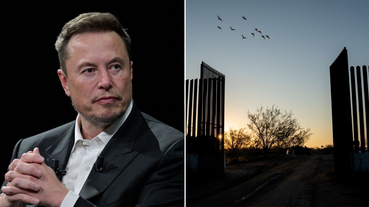 Elon Musk will help change US immigration policy: Gov. Greg Abbott
