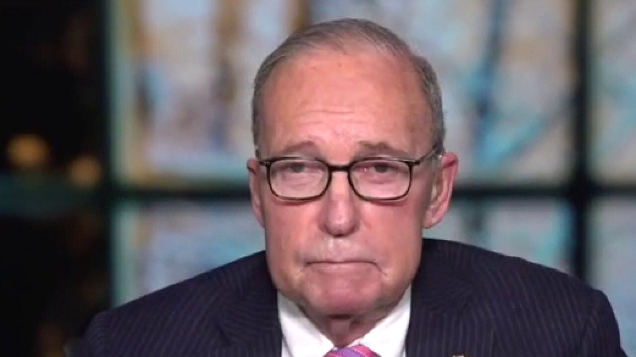 Larry Kudlow, former top economic adviser to Donald Trump, says he doesn't want to see more federal government regulations of markets. 
