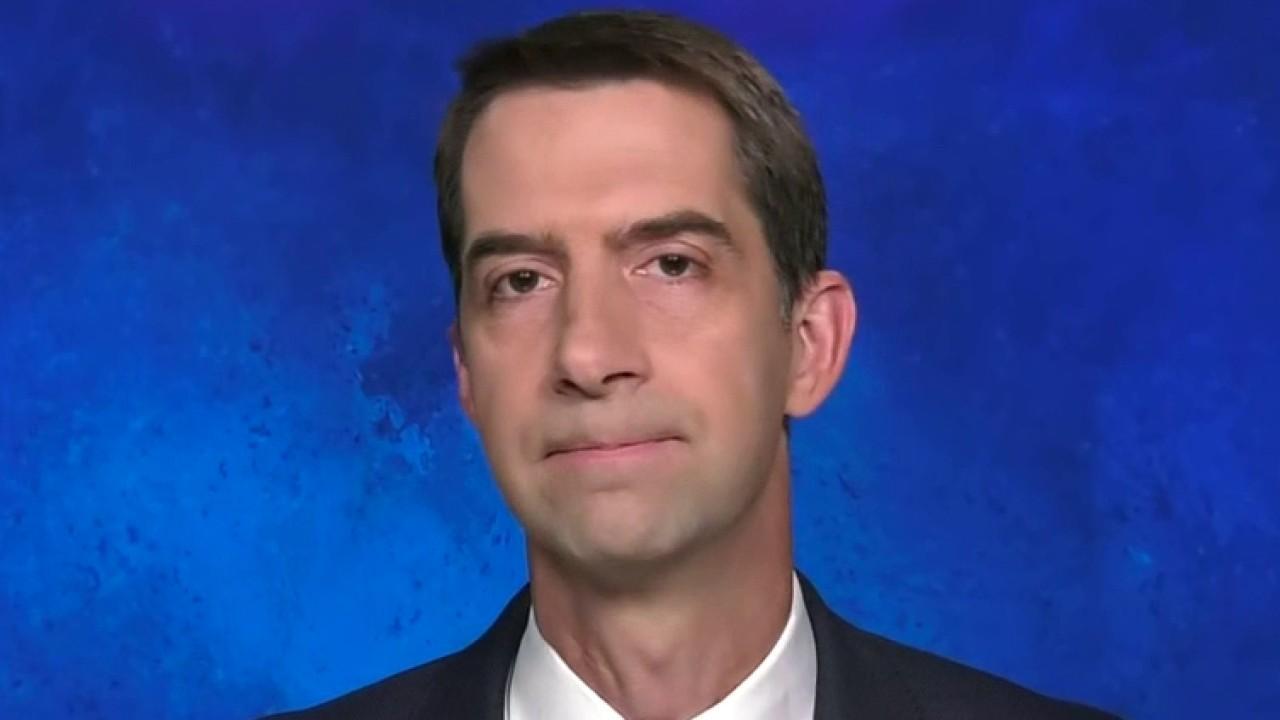 US should get China to behave like a ‘responsible actor’: Sen. Tom Cotton 