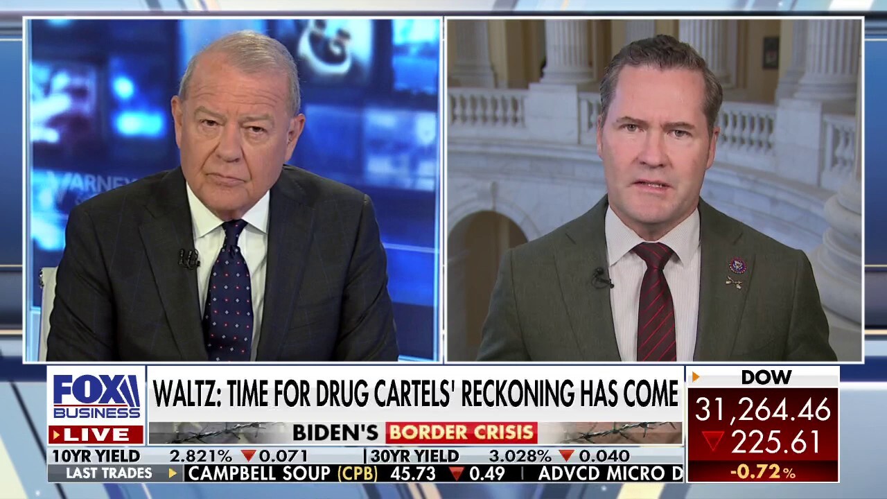 Biden admin caught 'flat-footed' over baby formula shortage: Rep. Mike Waltz