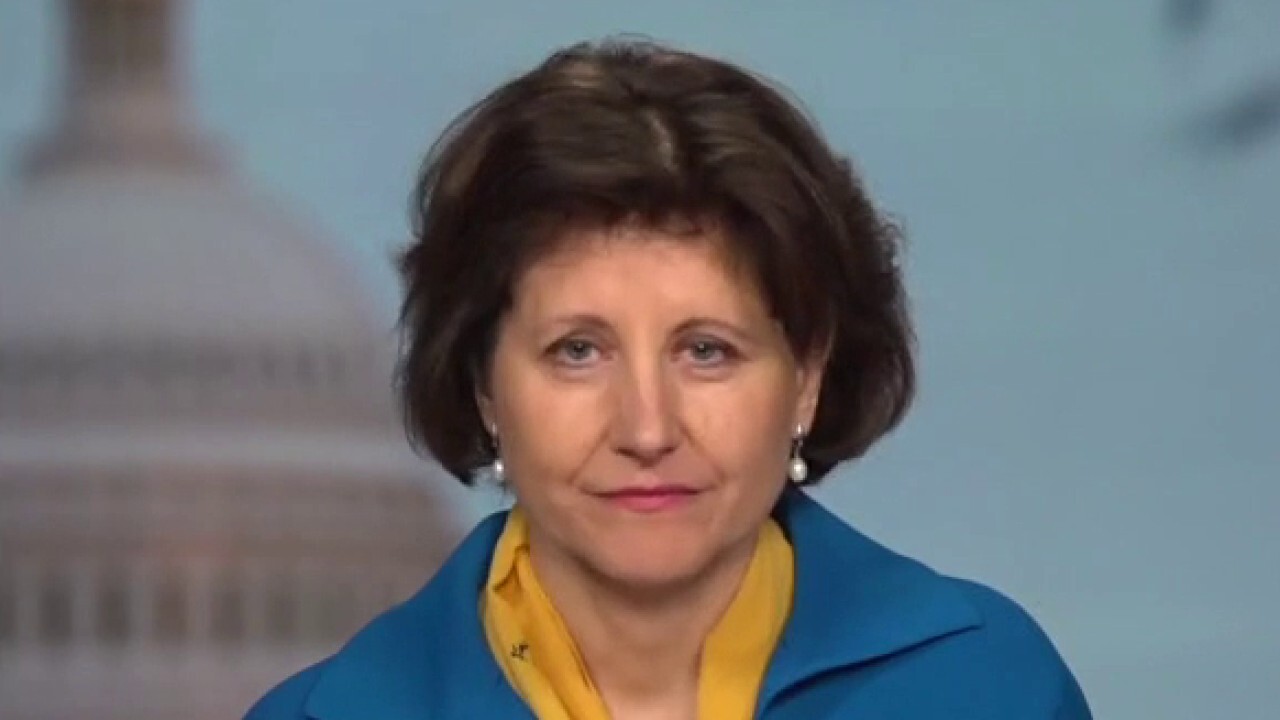 Lithuania's population 'fully' supports Ukraine: Ambassador to the US