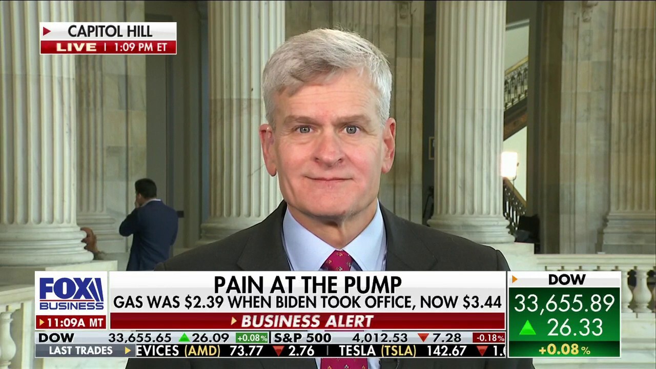 Louisiana Republican Sen. Bill Cassidy reacts to Democrats accusing Republicans of raising gas prices on the American people on 'The Big Money Show.'