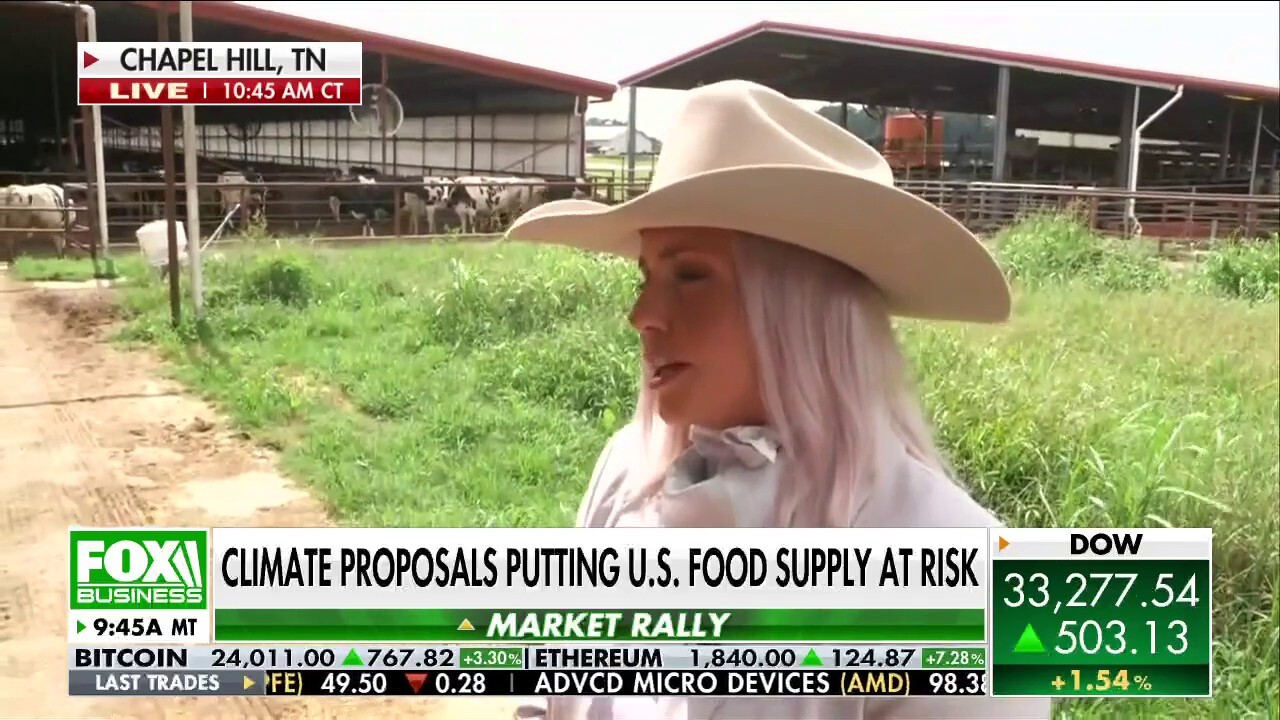 Farmer Stephanie Nash tells FOX Business' Madison Alworth the president's new climate proposals are an 'attack' on farmers and put the nation's food supply at risk.