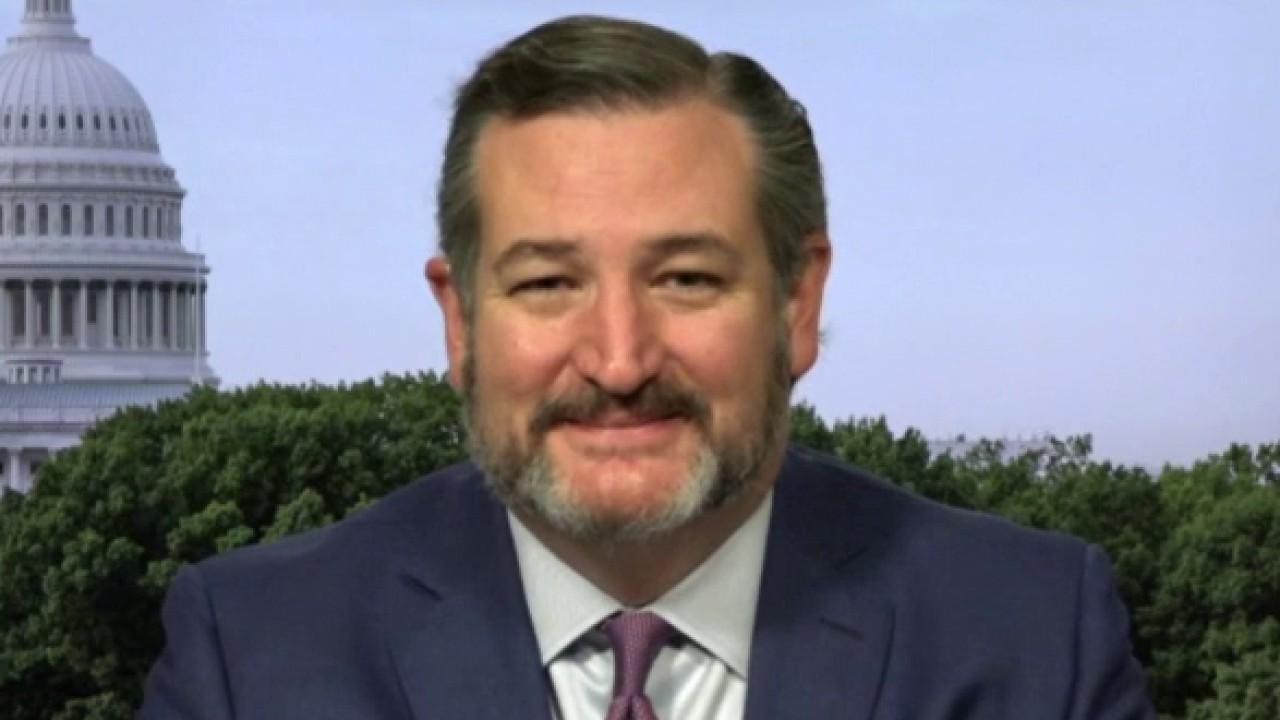 Ted Cruz on Big Tech censorship: Google is 'by far the worst' 