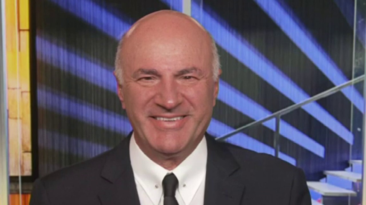 'Shark Tank' star Kevin O'Leary says energy and food inflation will not go away on 'Kudlow.'