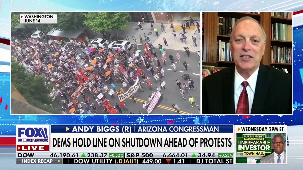 'No Kings' rally is a 'misnomer,' argues GOP congressman