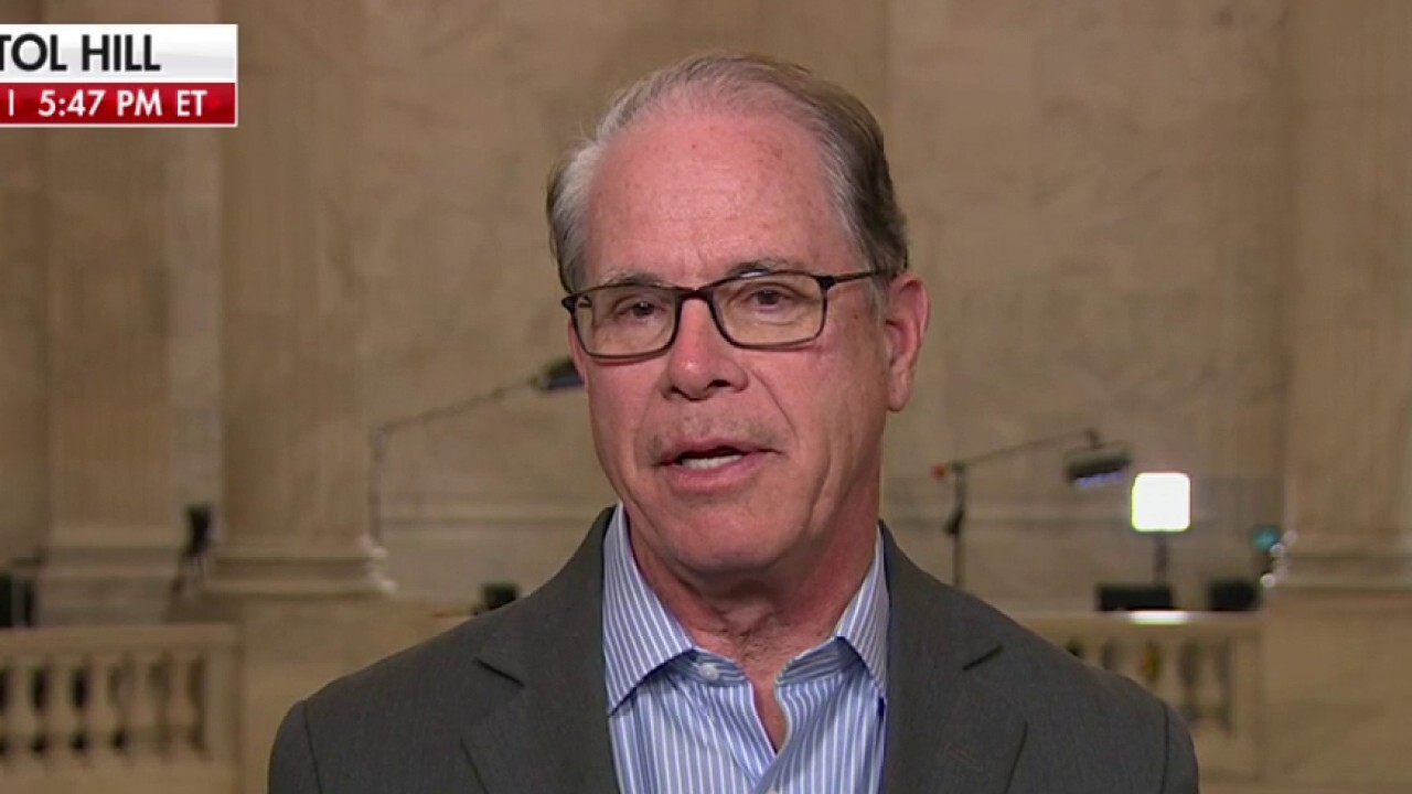 Dems trying to convert illegal immigrants into voters was a 'big miscalculation,' says Sen. Mike Braun