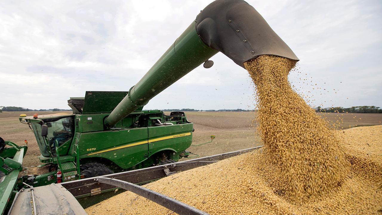Farmers' concerns over trade war uncertainties