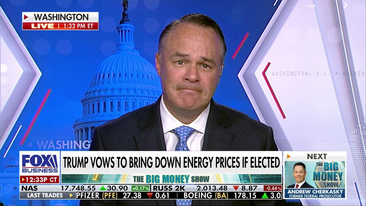 American Petroleum Institute CEO Mike Sommers discusses the country's energy independence and lawsuits against Biden's EV mandates.
