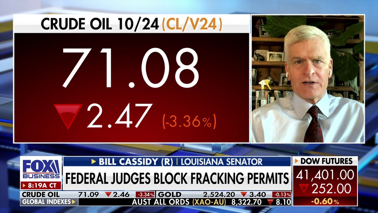 Sen. Bill Cassidy, R-La., explains how climate activists use the courts to interfere with offshore drilling and hold up LNG projects on 'Varney & Co.'