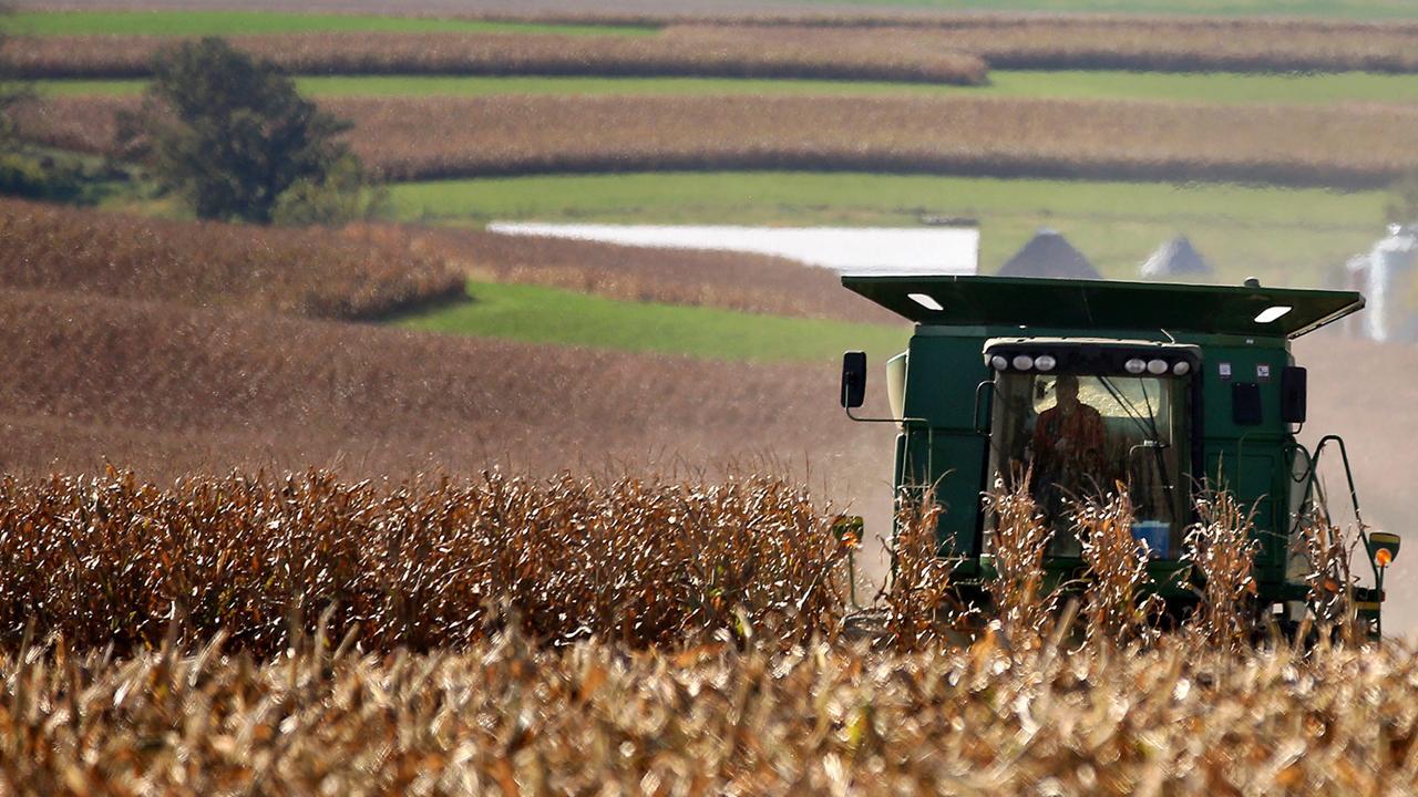 Farmers are battling corn surplus