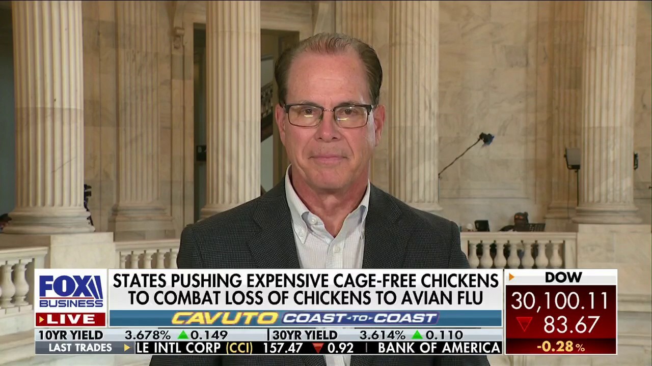 Biden's spending is a 'bad business plan' for America: Sen. Mike Braun