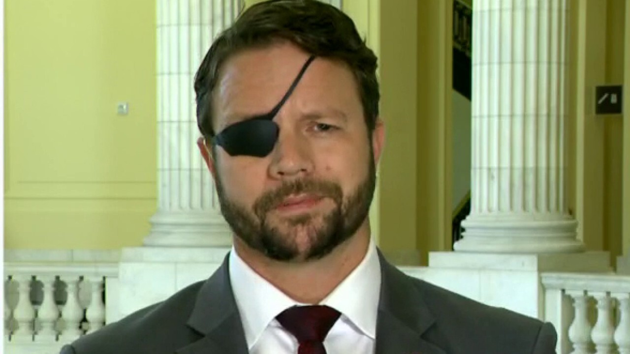Dan Crenshaw: Left has a strange obsession with wind and solar future