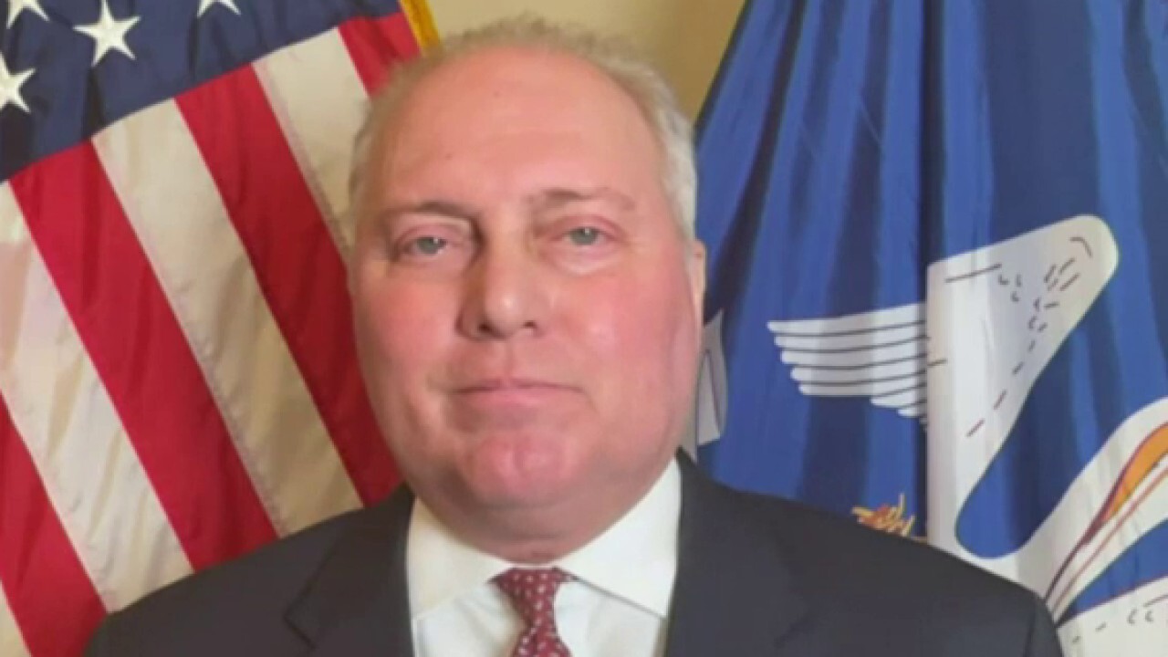  Rep. Steve Scalise, R-La., provides insight on national security and government spending on 'Kudlow.'