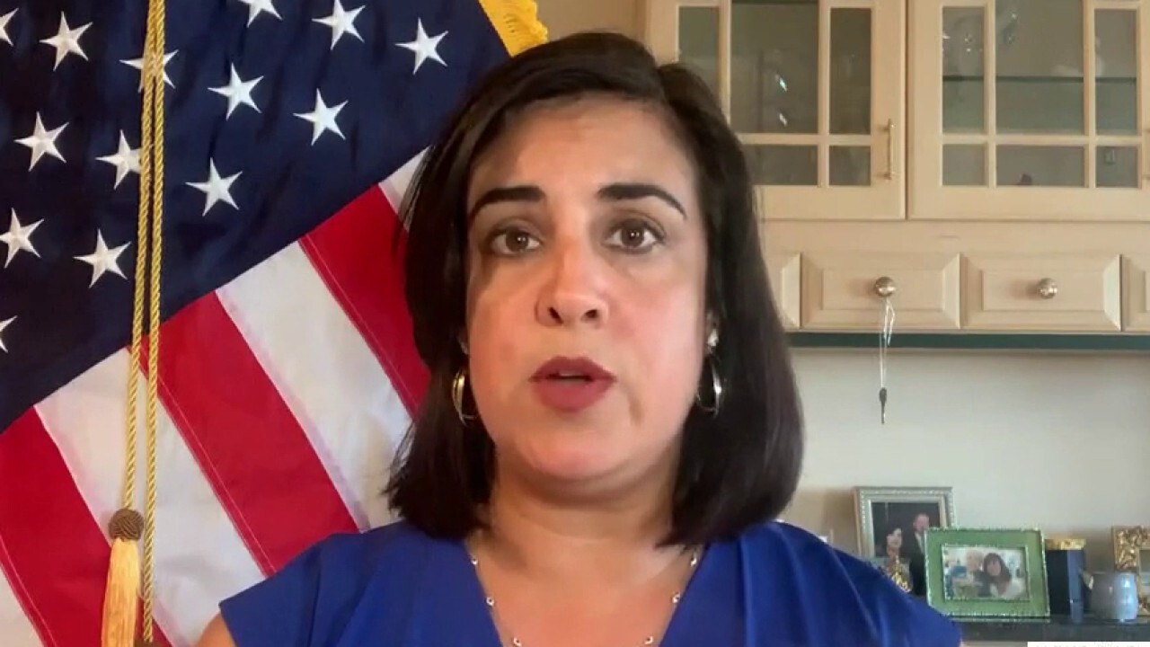 Rep. Nicole Malliotakis breaks down 'in-depth' investigation into  NY Gov. Cuomo