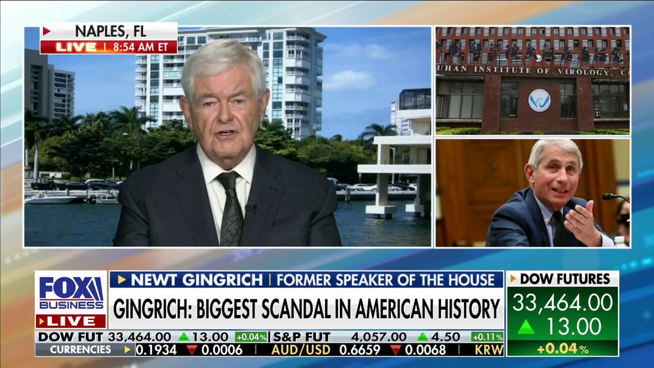 Dr. Fauci will go down as one of the ‘most destructive and dangerous people’ in US history: Newt Gingrich