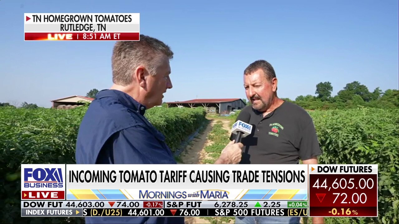 FOX Business’ Ashley Webster speaks with Steve Longmire, the owner of Tennessee Homegrown Tomatoes, about the incoming tomato tariff. 