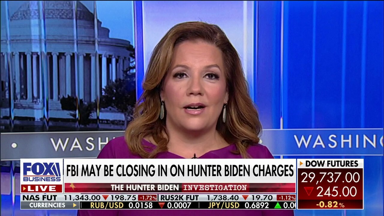 Hunter Biden charges not enough to deal with gravity of situation: Mollie Hemingway