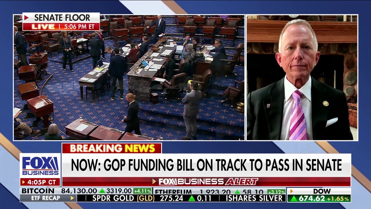 Democrats are purveying ‘all kinds of chaos,' GOP lawmaker says