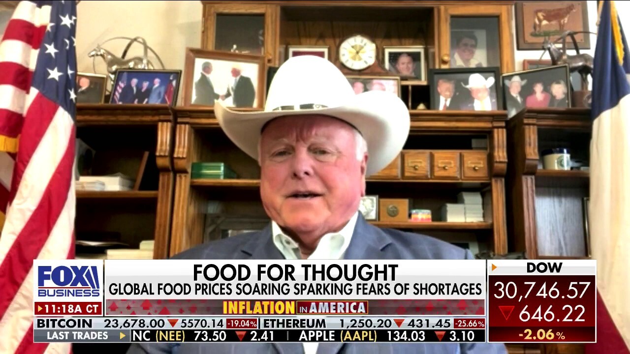 Texas agriculture commissioner: ‘We have the food, we just can’t get it to the people’