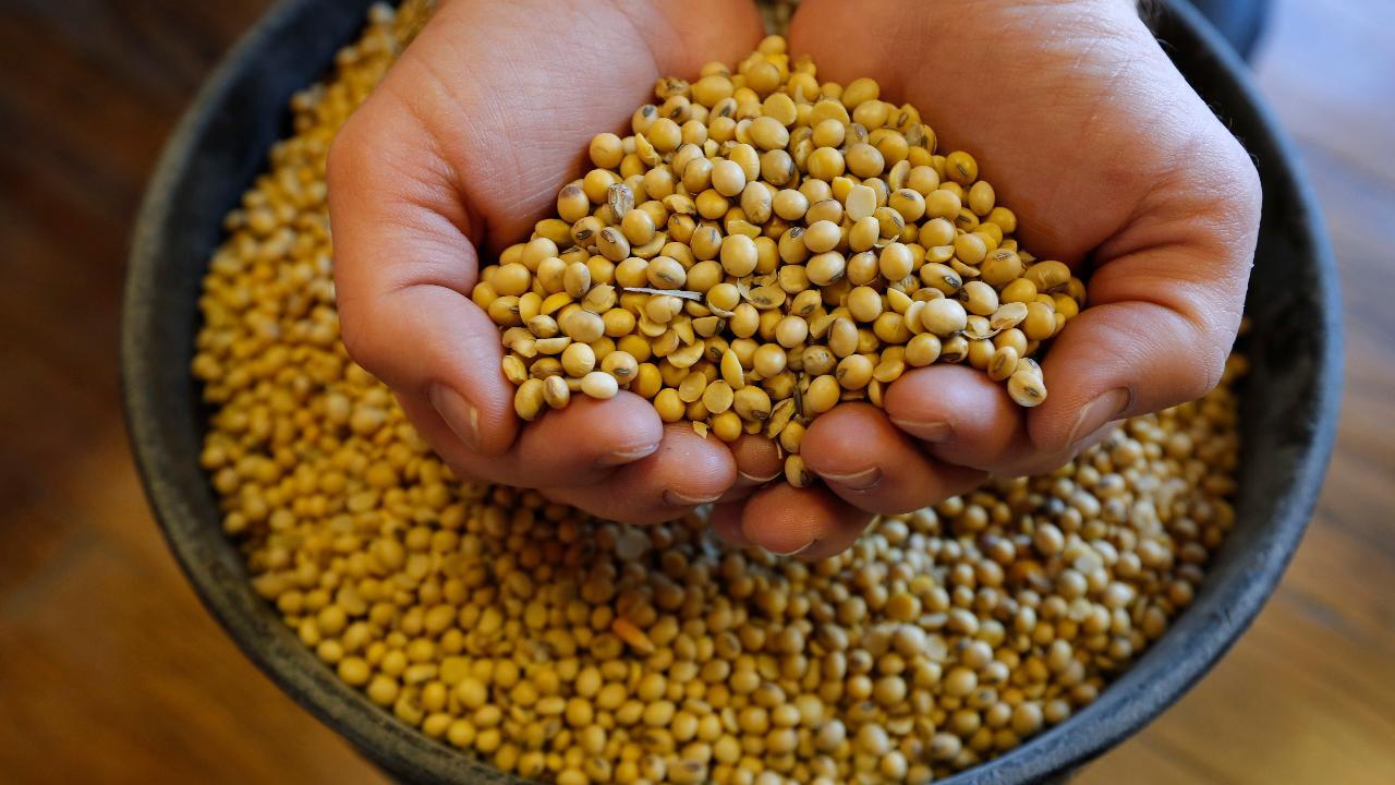 American soybean farmers eager for trade deal with China