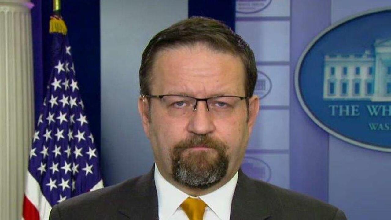 Trump will take necessary measures to protect US: Gorka