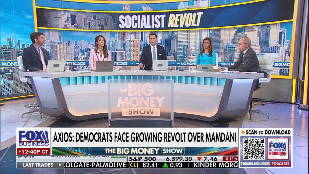 Mamdani drives wedge in Democratic Party