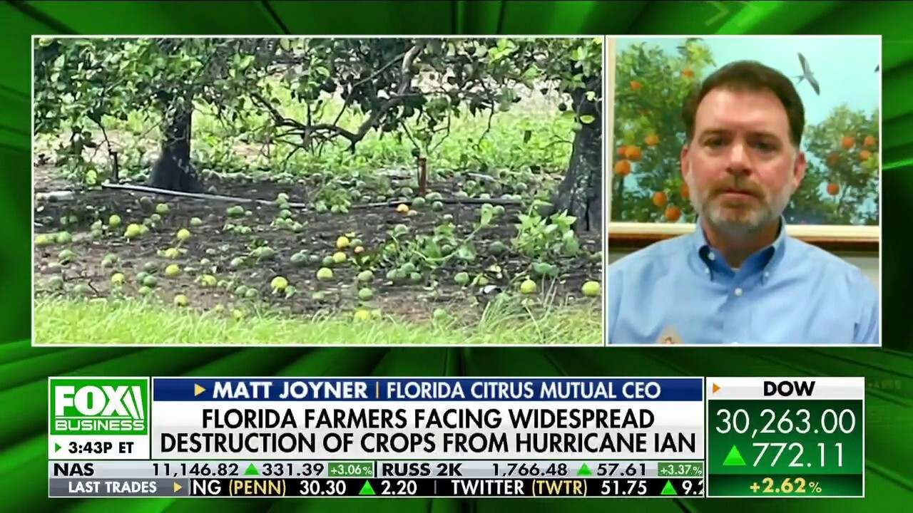 Florida Citrus Mutual CEO Matt Joyner discusses the impact of Hurricane Ian on food costs and the citrus industry on 'The Claman Countdown.'