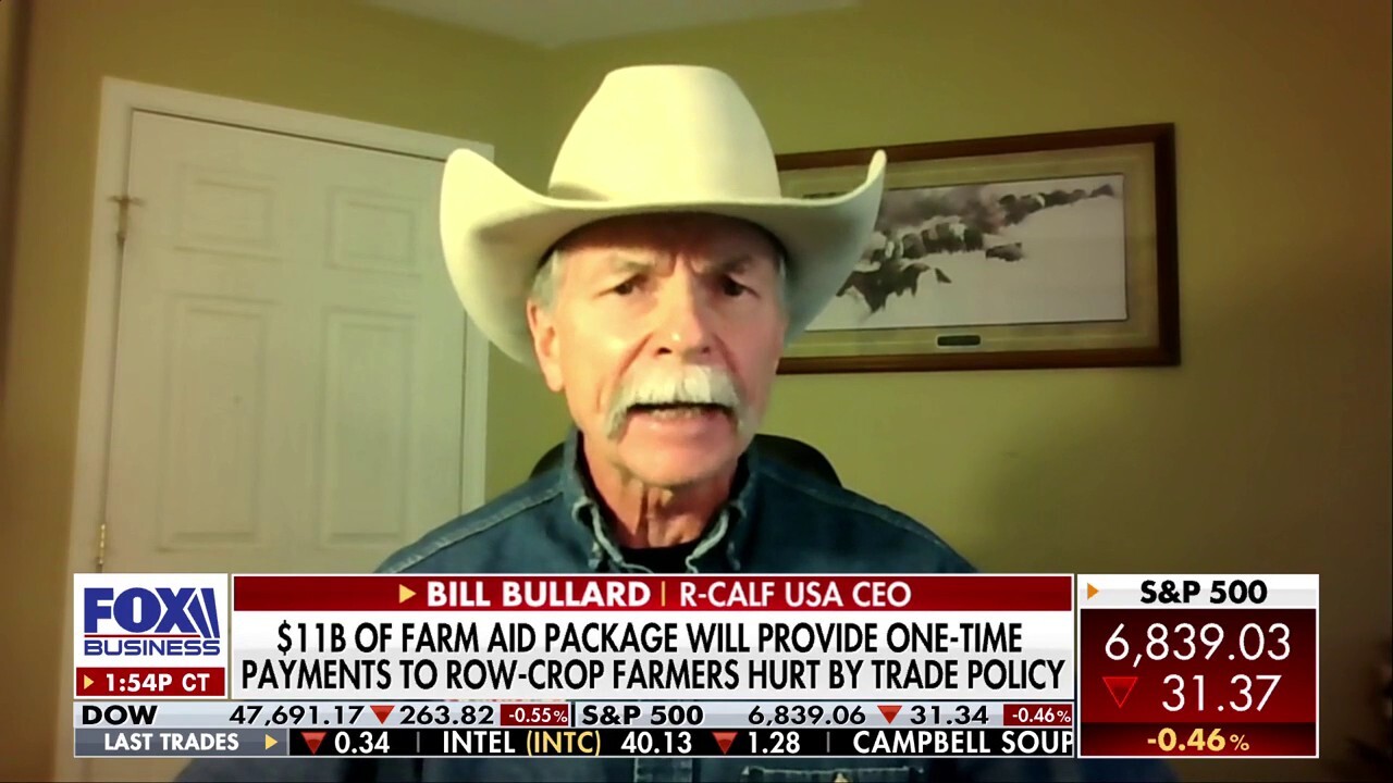 Close relationship between beef prices and cattle prices have been 'severed,' CEO says