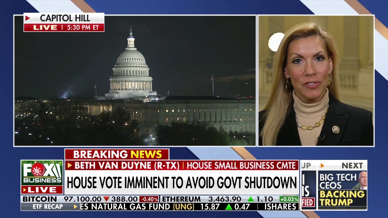 Rep. Beth Van Duyne: Continuing Pelosi-backed government program spending is 'insane'